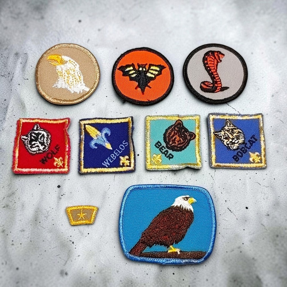 VTG 1970s BSA Boy Cub Scout Patch Lot Wolf Webelos Bear Bobcat Eagle Snake Cobra